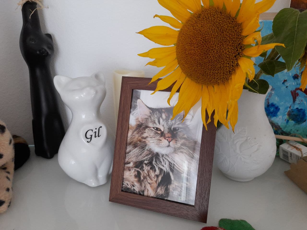 Ein Bild von Gil, eine Katzenurne und eine Sonnenblume