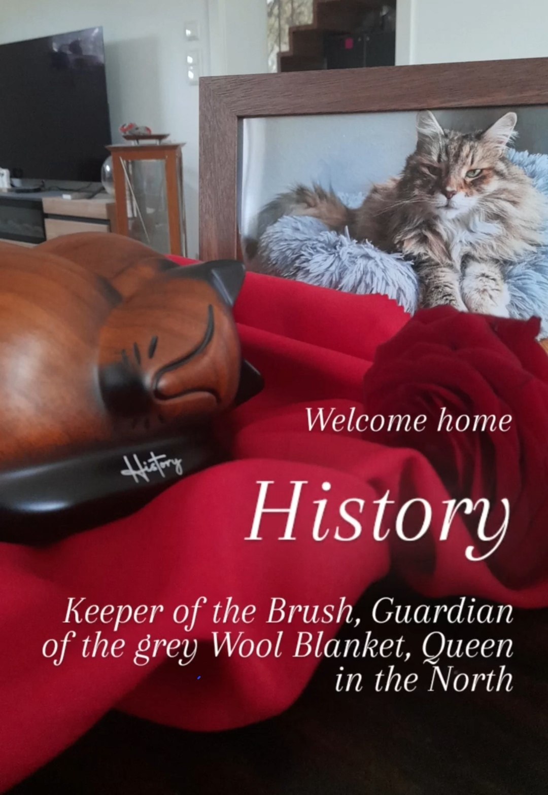 Ein Bild von History hinter einer holzfarbenen Katzenurne auf rotem Samt