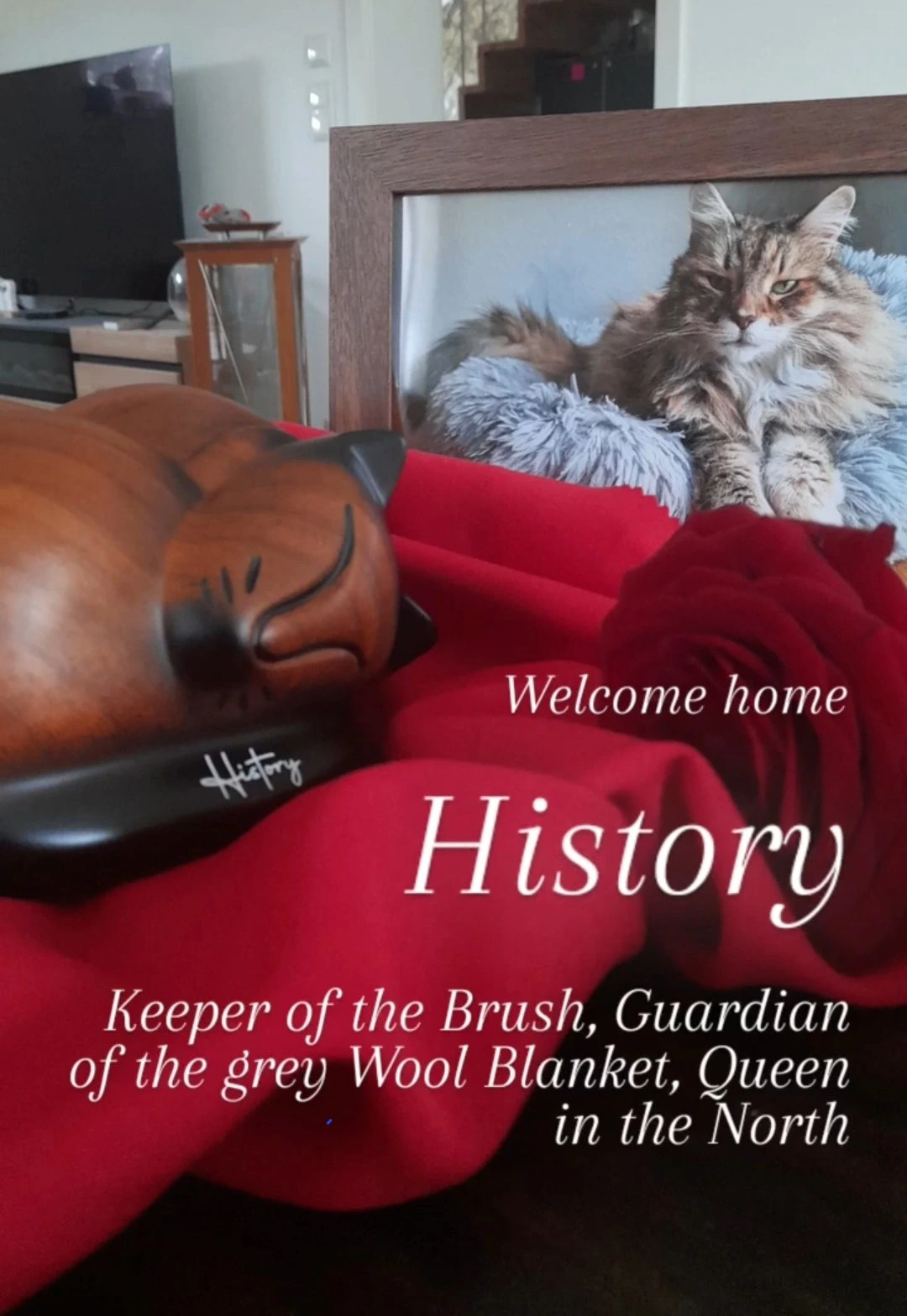 Ein Bild von History hinter einer holzfarbenen Katzenurne auf rotem Samt